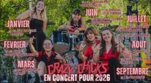 Crazy Chicks